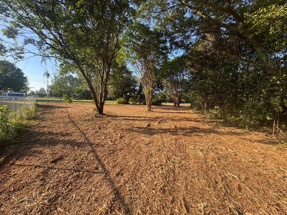 Excavation for Bryant's Land Services in Forsyth, GA