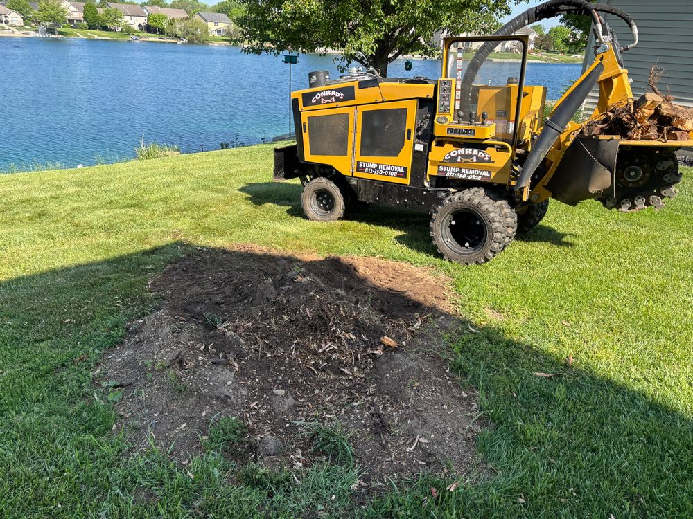 All Photos for Conrad's Stump Removal in Columbus, IN