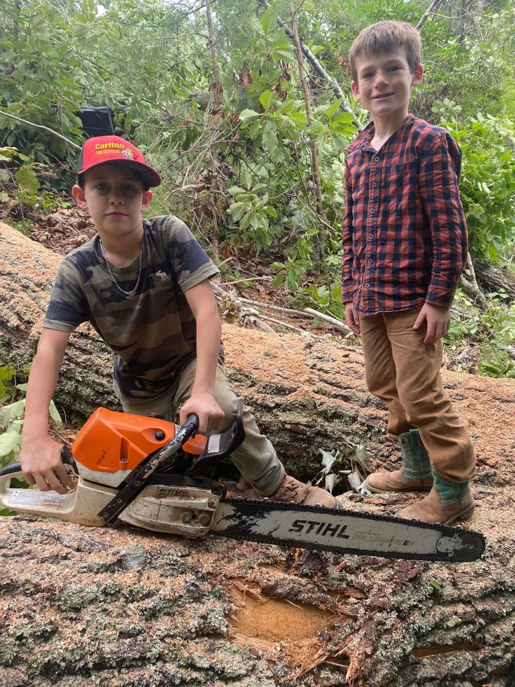 Tree Trimming for Andy's Tree Service in Zirconia, NC
