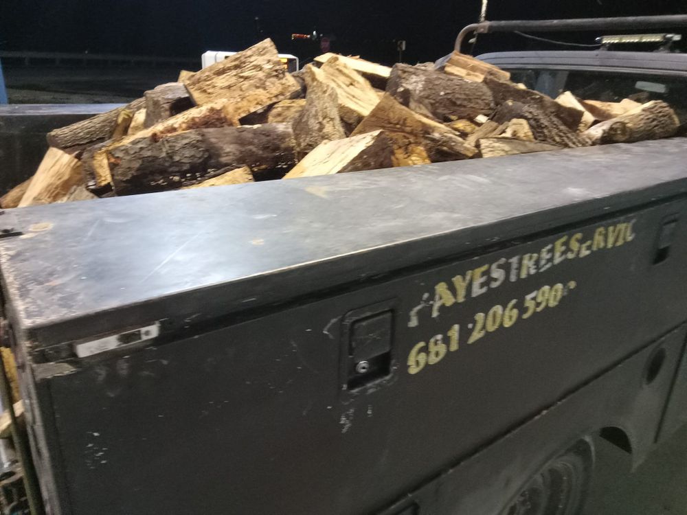 Fall and Spring Clean Up for Hayes Tree And HandyMan Services LLC in , 