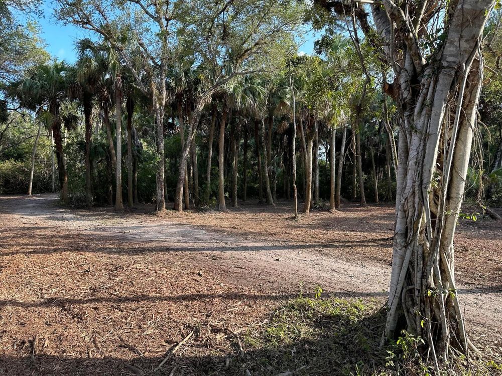 All Photos for McLeran in Naples, FL