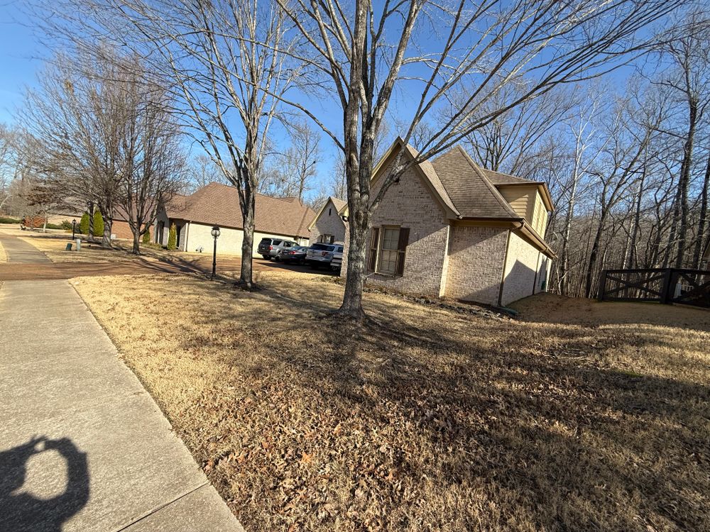 All Photos for Sanchez Z. Landscaping in Memphis, TN