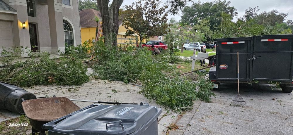 Landscaping for Tezna Landscaping, Trees & Pavers in Valrico, FL