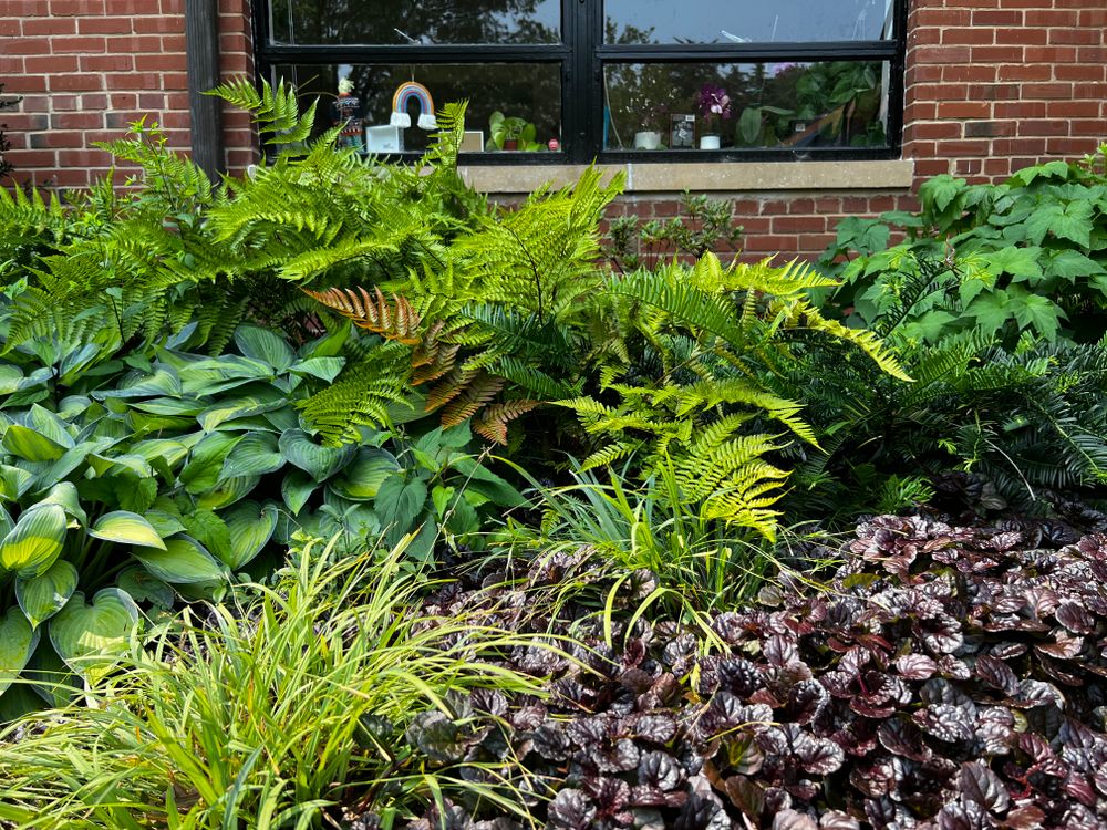All Photos for Christina King Landscape Design in West Raleigh, NC
