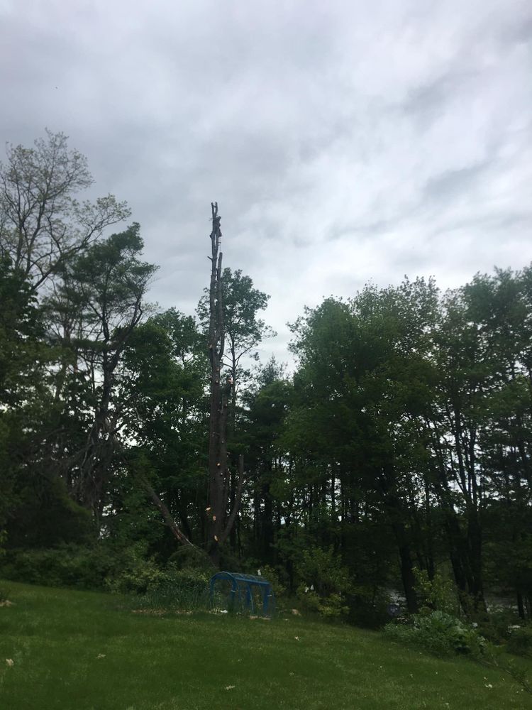 Tree Removal for Green In Green Out Tree Services in Westbrook, ME