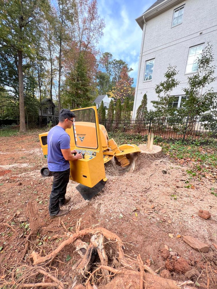 Other Services for J&M Stump Grinders LLC in Douglasville, GA