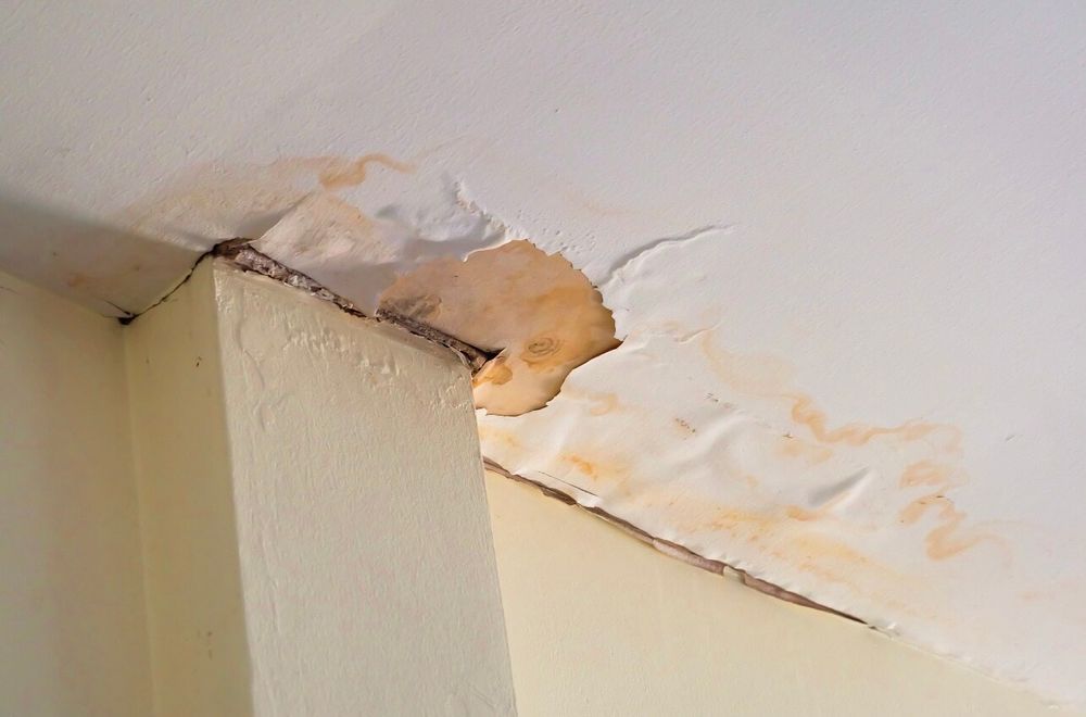Our Water Damage Restoration service quickly addresses leaks or flooding, preventing further damage. We use advanced equipment and expertise to restore your home efficiently, ensuring safety and peace of mind. for All Clear Restoration in Clallam County, WA
