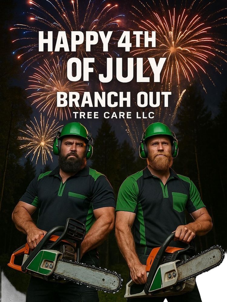 All Photos for Branch Out Tree Care LLC in Fredericksburg, VA