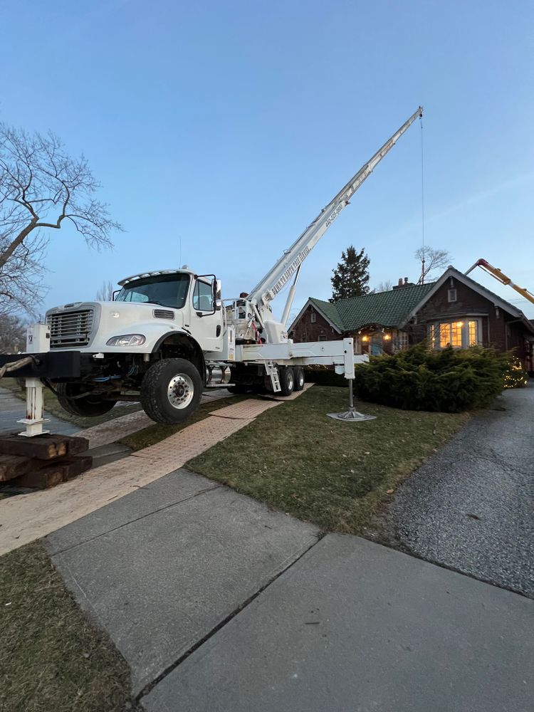Tree Removal for Down To Earth Tree Service, LLC in Olmsted Falls, OH