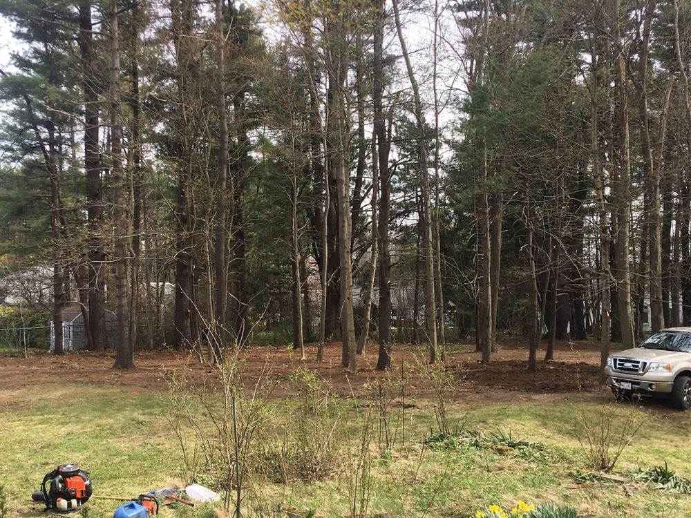 All Photos for Green In Green Out Tree Services in Westbrook, ME