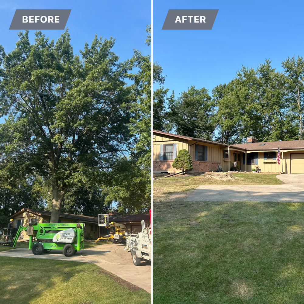 All Photos for Fransen's Tree Service  in Freeport, IL