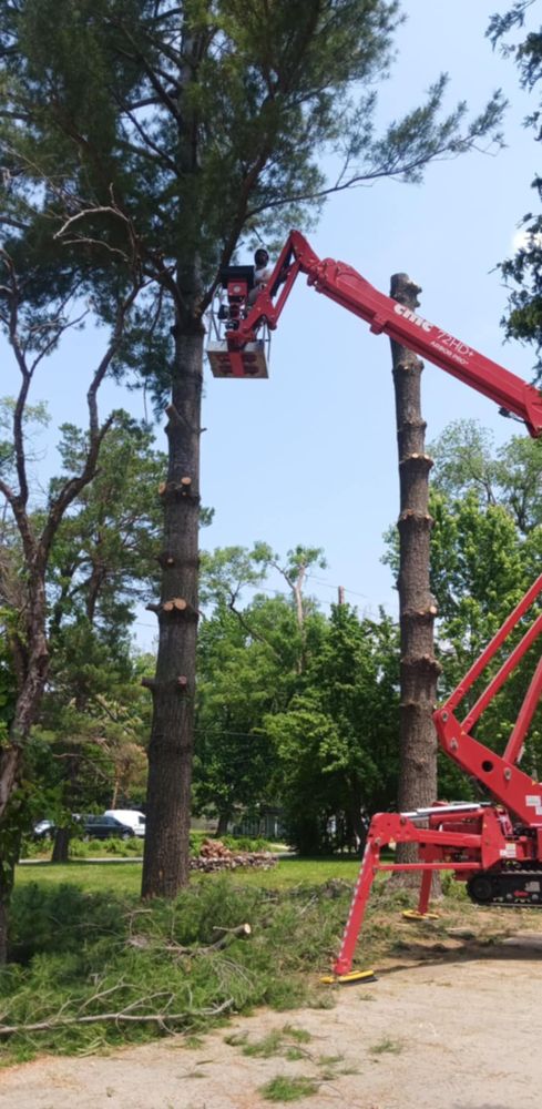 All Photos for Lawn Ranger Yard And Tree Service LLC in Ottumwa, IA