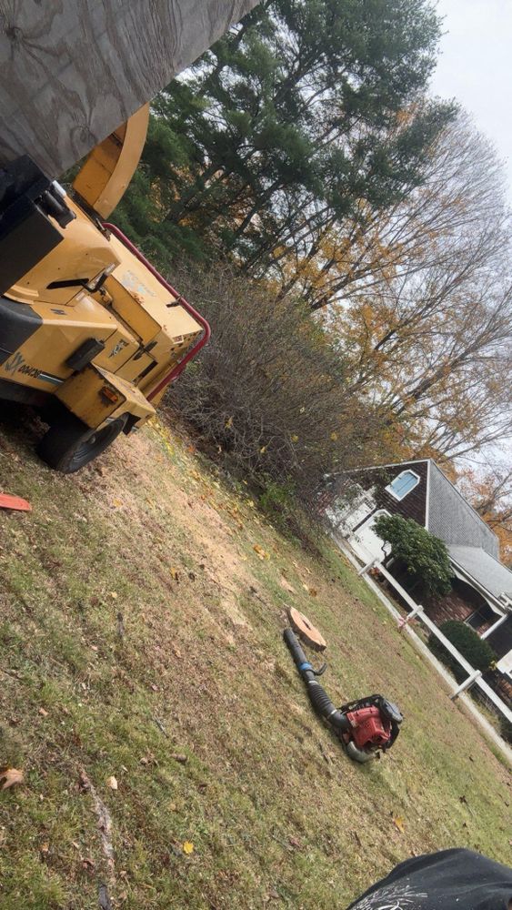 All Photos for Dwights Tree Service in Middleborough, MA