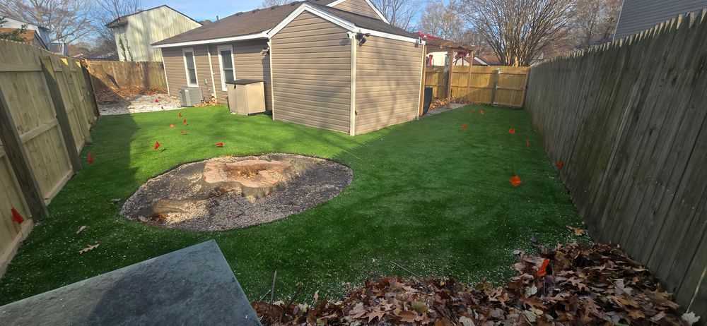 All Photos for Beach Tree Care in Virginia Beach, VA