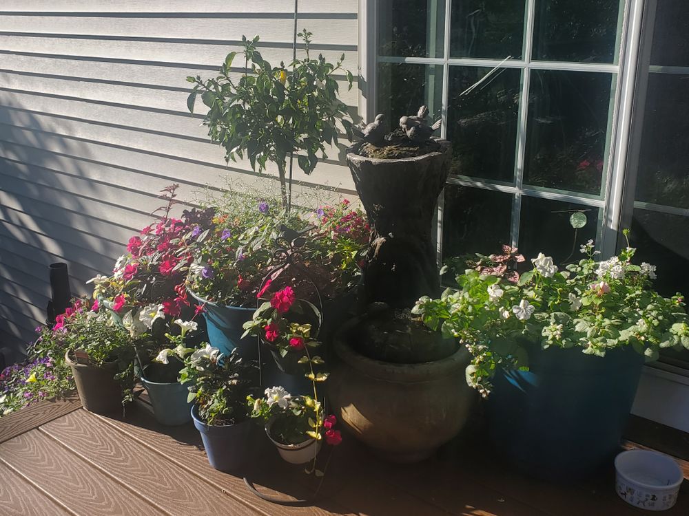 All Photos for Evolution Earthscapes, LLC in Ludlow, MA