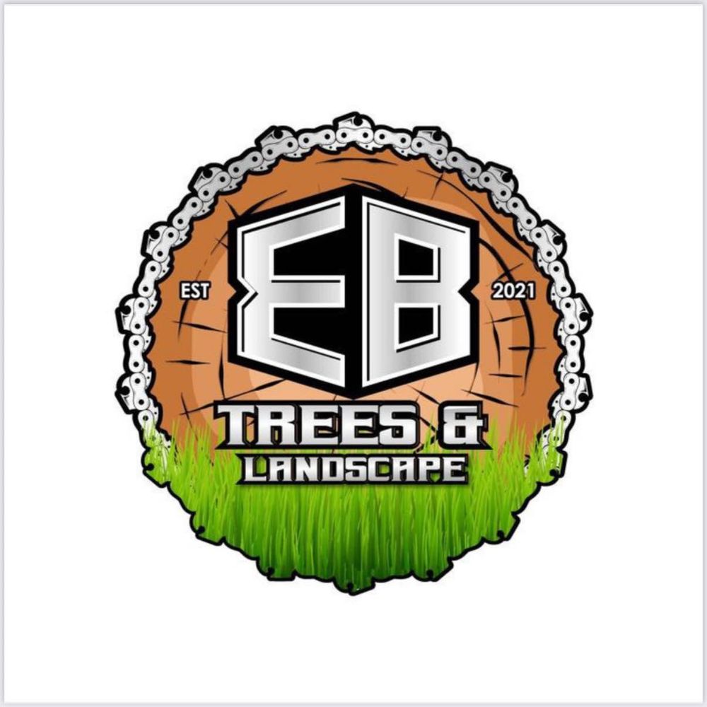 All Photos for EB Trees and Landscape in Lutz, FL