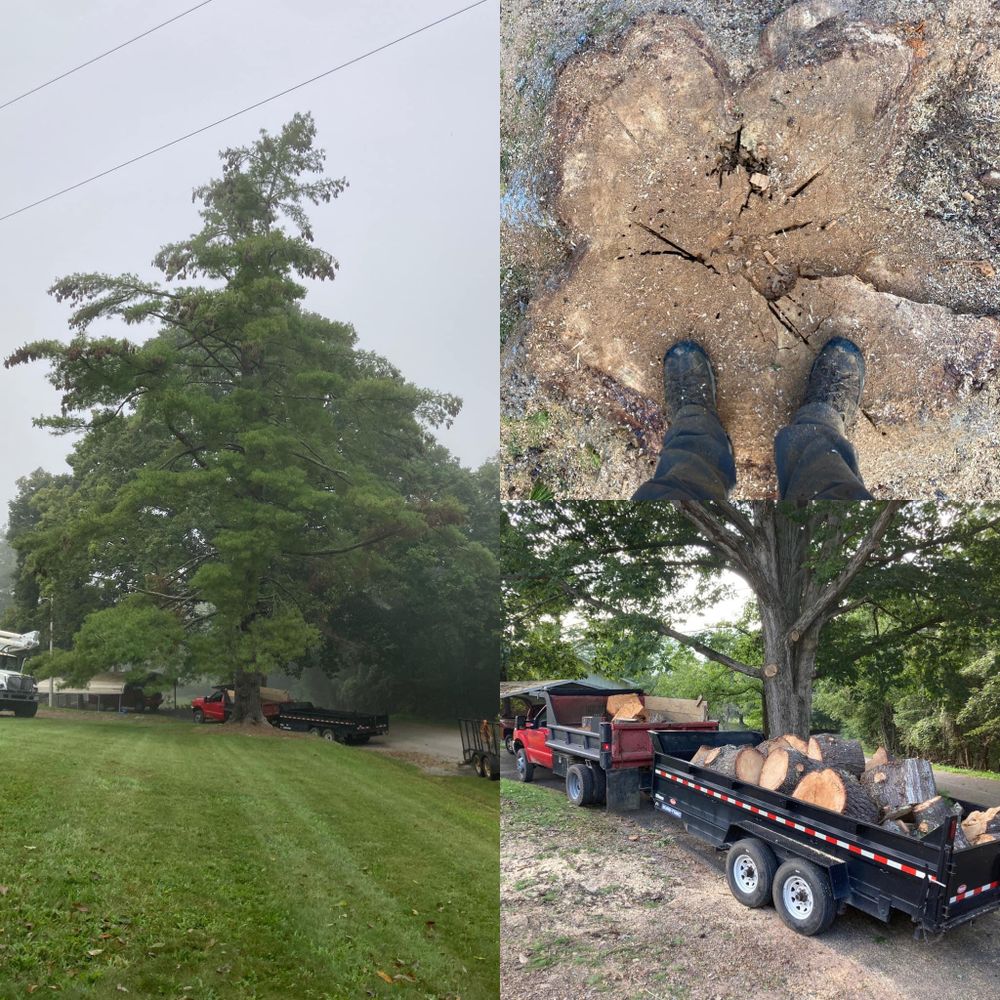 All Photos for NRV Tree Pro, LLC in Narrows, VA