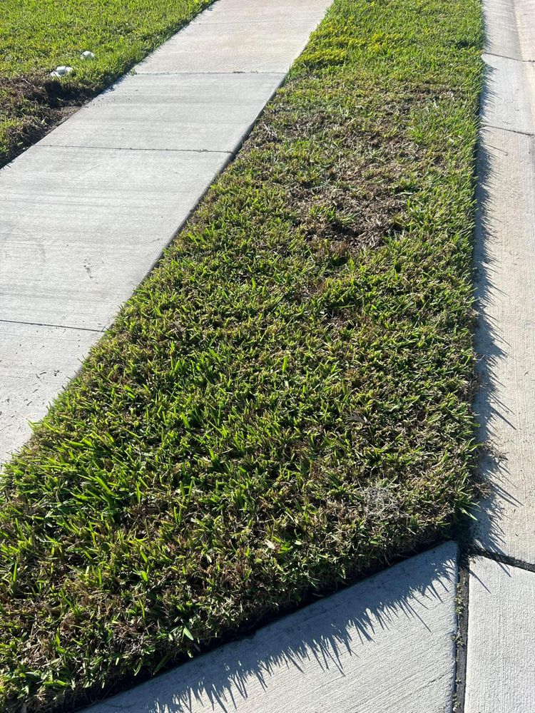 All Photos for Estrada All Pro Lawn Service in Auburndale, Florida