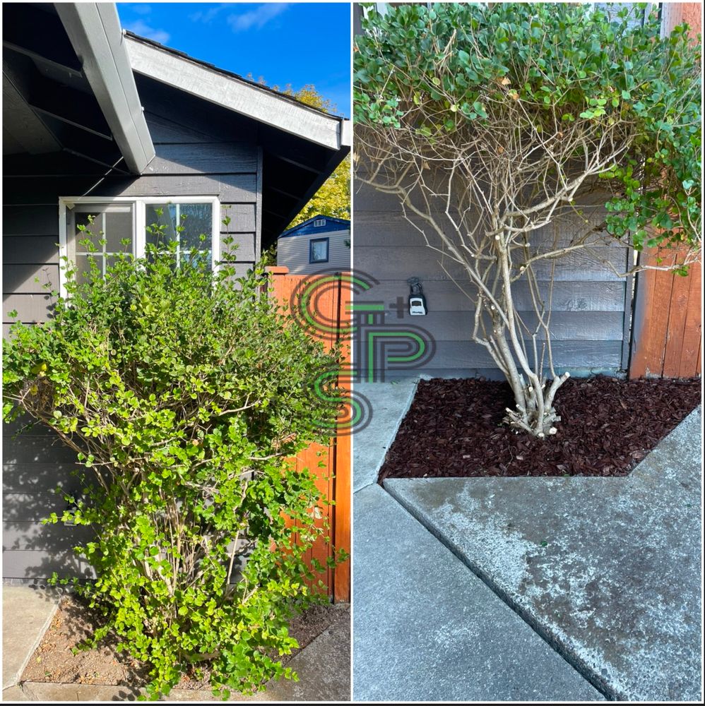 Landscaping for Golovin Property Services LLC in Marysville, WA