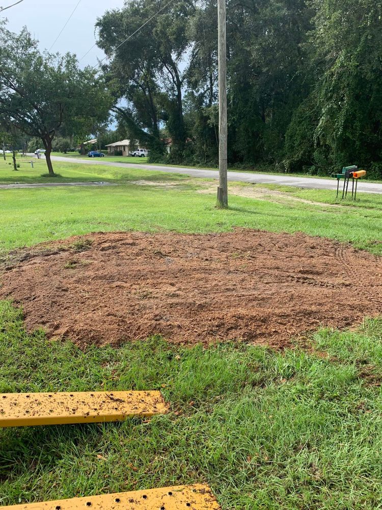 Tree Removal for Alford’s Tree and Stump Services LLC in Lake City, FL