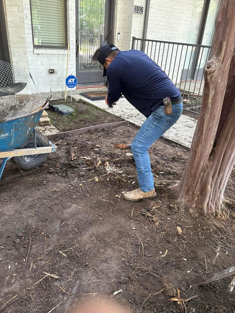 All Photos for Texas Freedom Turf Co. in Dallas, TX