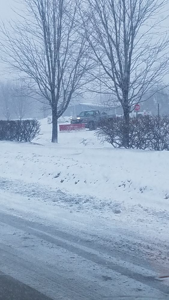 All Photos for Perfect Lawn Solutions LLC in Marshall, WI