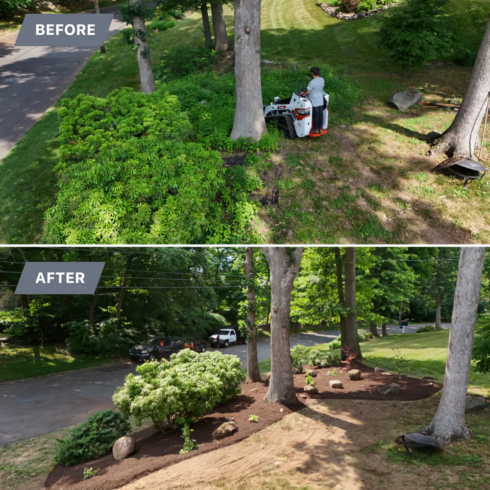 Landscape & Bed Design for Ace Landscaping in Trumbull, CT