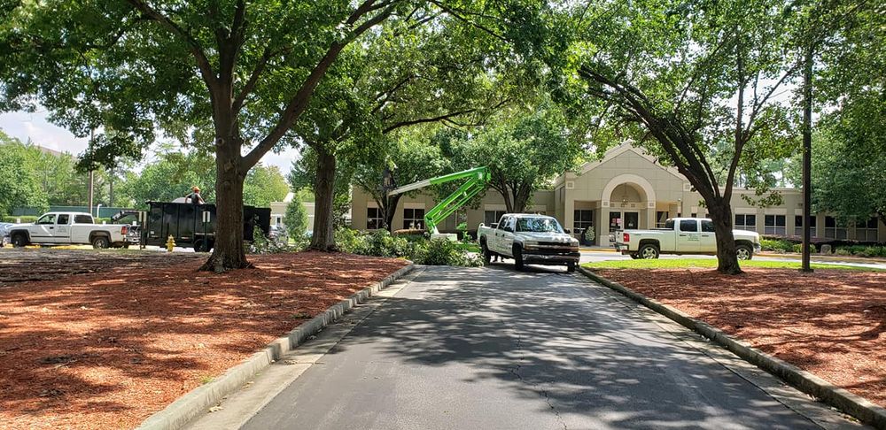 All Photos for Trees Unlimited of the CSRA in Augusta, GA