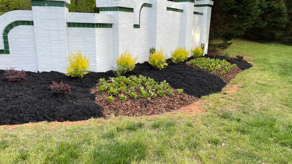 Landscaping for DLS Landscaping in Charlotte, NC