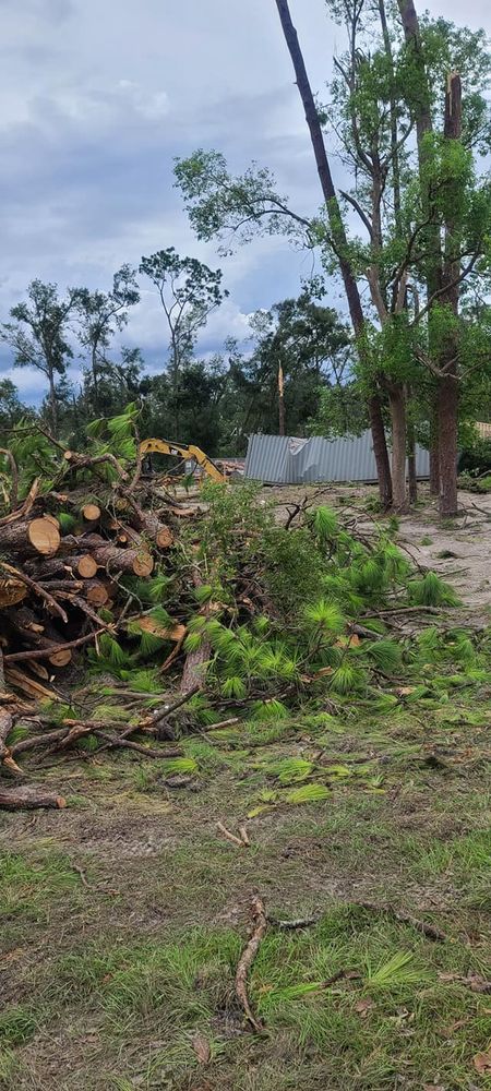 Tree Removal for Daniel Hickey’s Tree Service in DeLand, FL