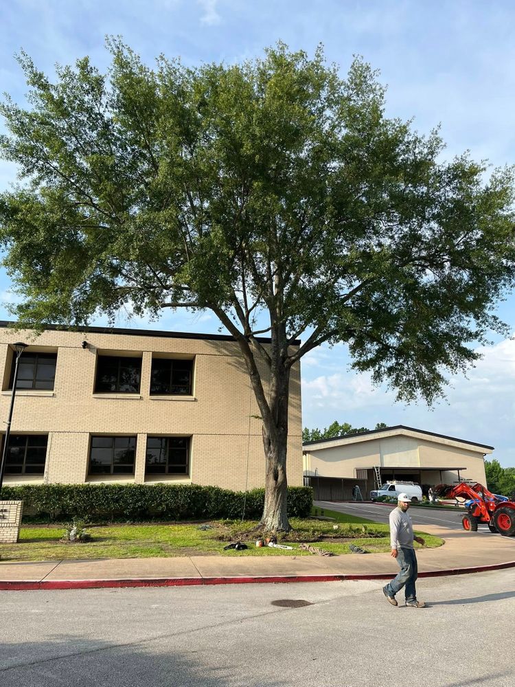 All Photos for JC Land and Tree Service in Kilgore, TX
