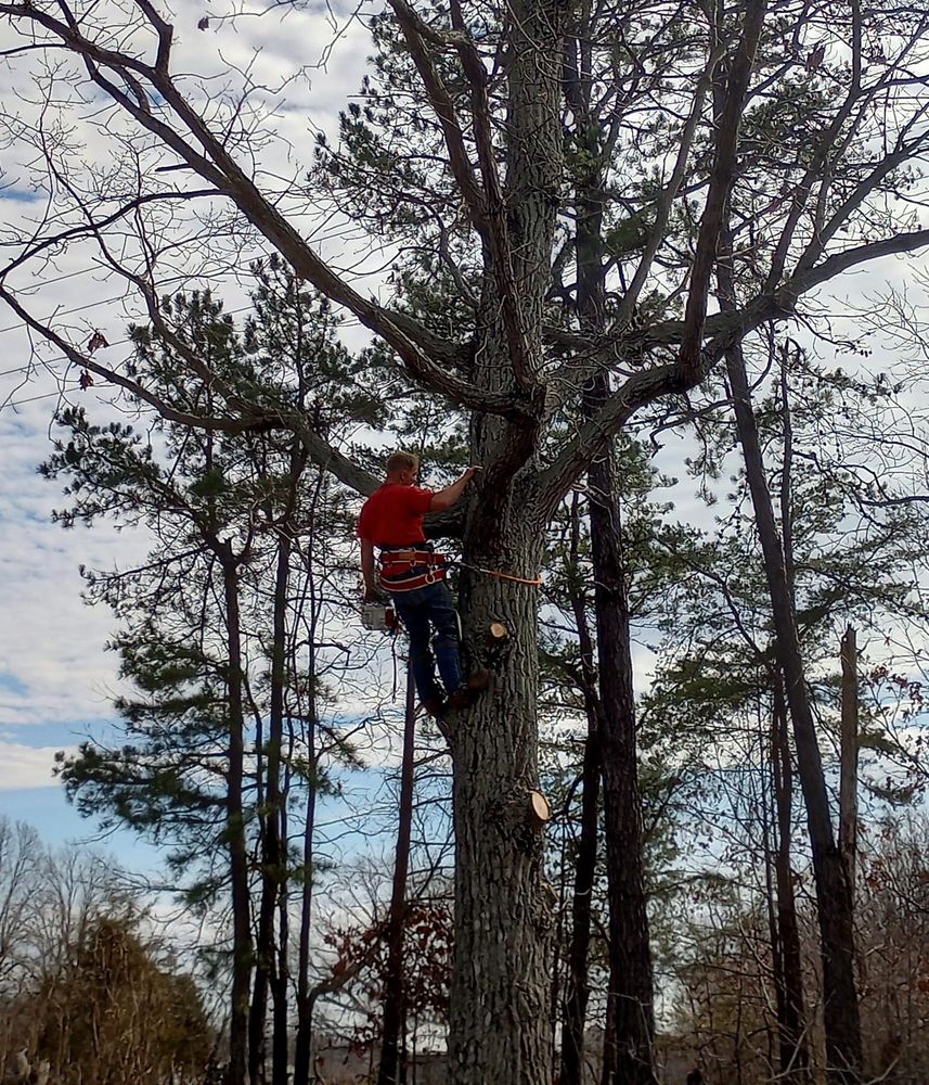 All Photos for The Webster Tree Service in Danville, VA