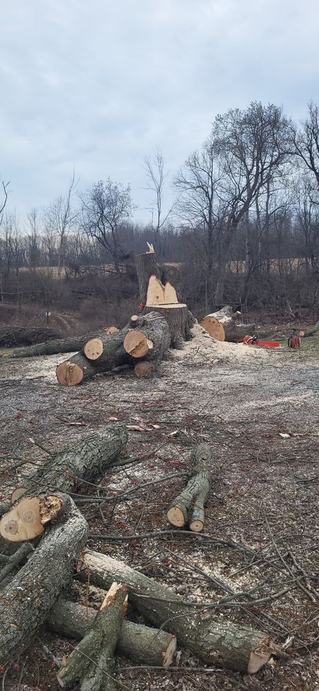 Tree Services for Fowler's Tree Service LLC. in New Albany, PA