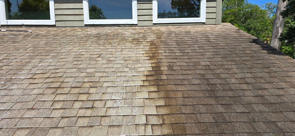 All Photos for Blue Stream Roof Cleaning & Pressure Washing in Tampa, FL