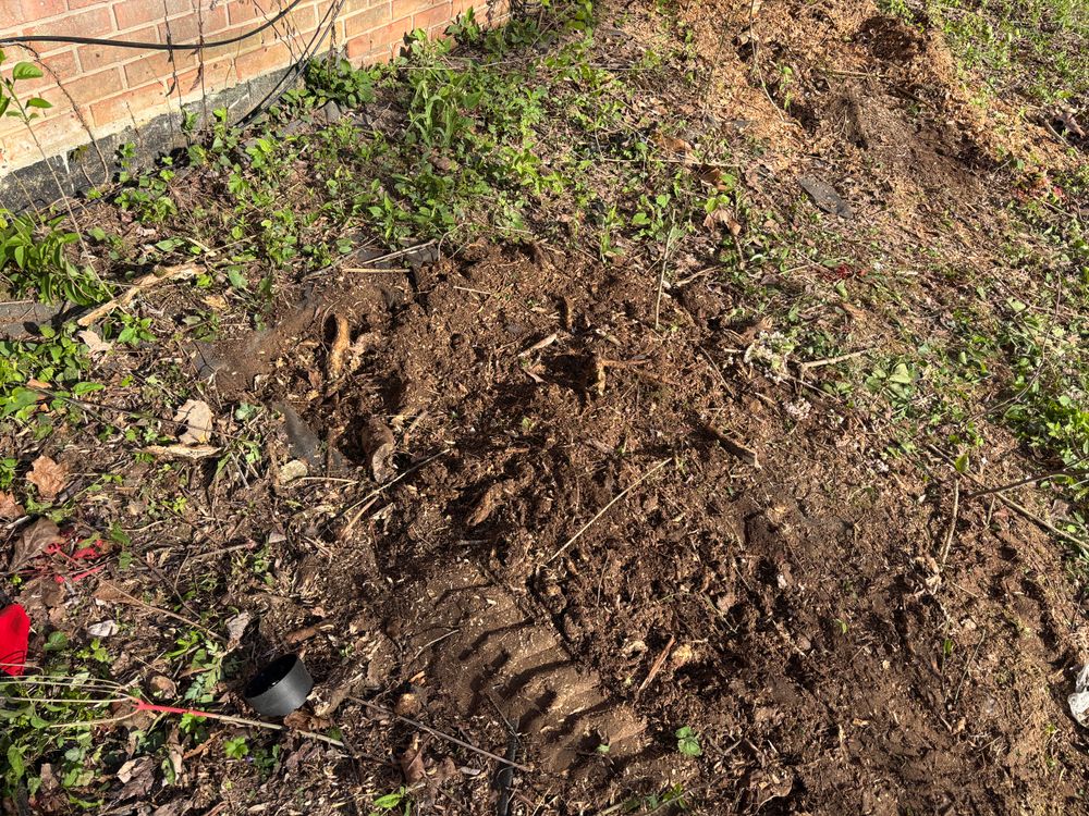 All Photos for Conrad's Stump Removal in Columbus, IN