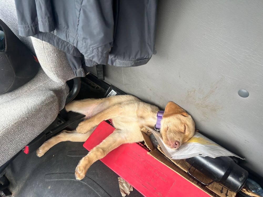 All Photos for The Gravel Guy in Blairsville, GA