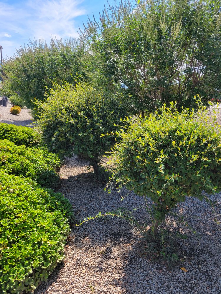 All Photos for 2 Brothers Landscaping in Albuquerque, NM