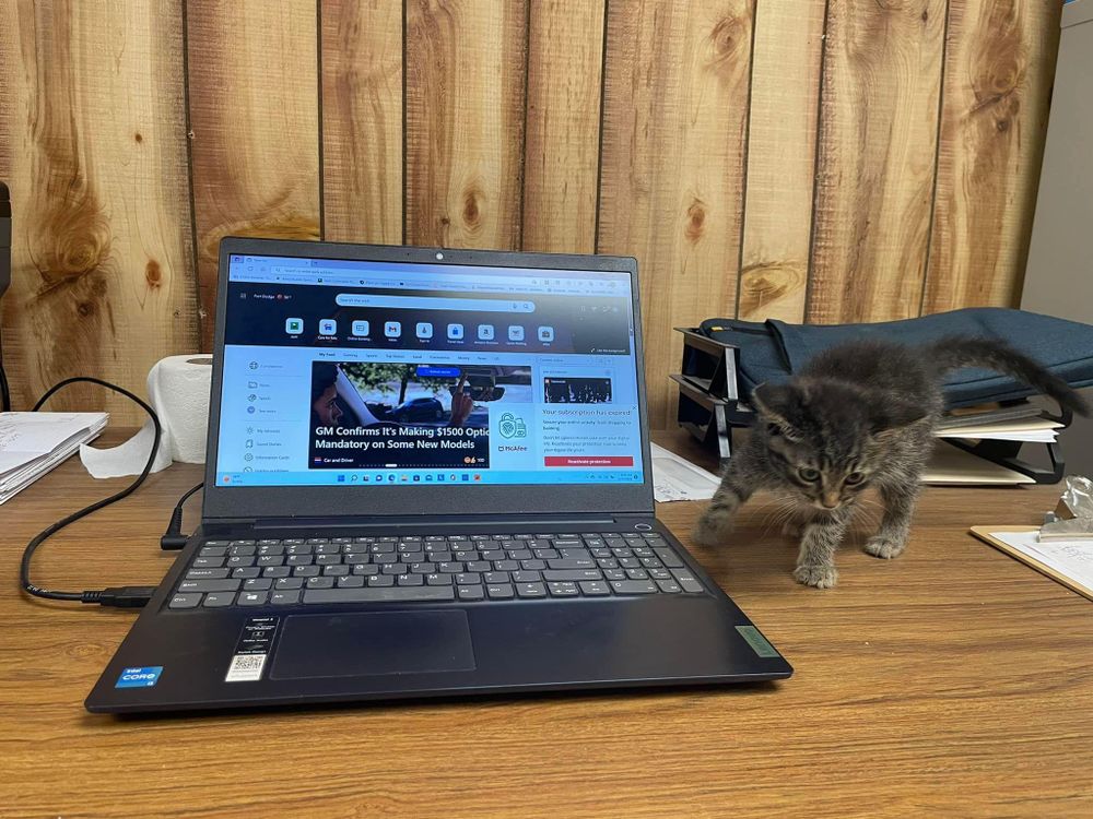 All Photos for Clavin Painting in Fort Dodge, Iowa