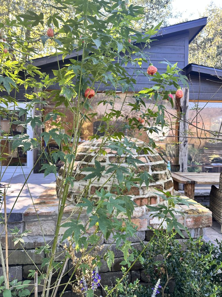 All Photos for Atlas Land Design in Creekside Park, TX