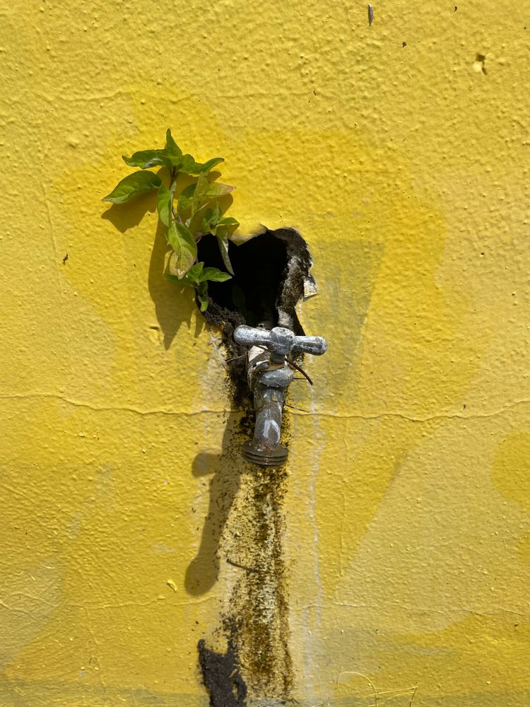 All Photos for Nomadic Plumbing Orlando in Orlando, FL