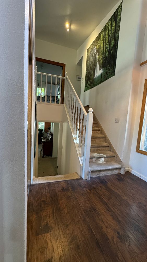 All Photos for Quest Construction, Ltd. in Lafayette, CO