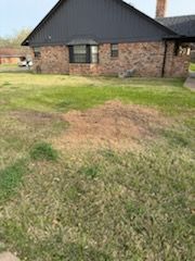All Photos for Tomas Stump Grinding in Giddings, TX