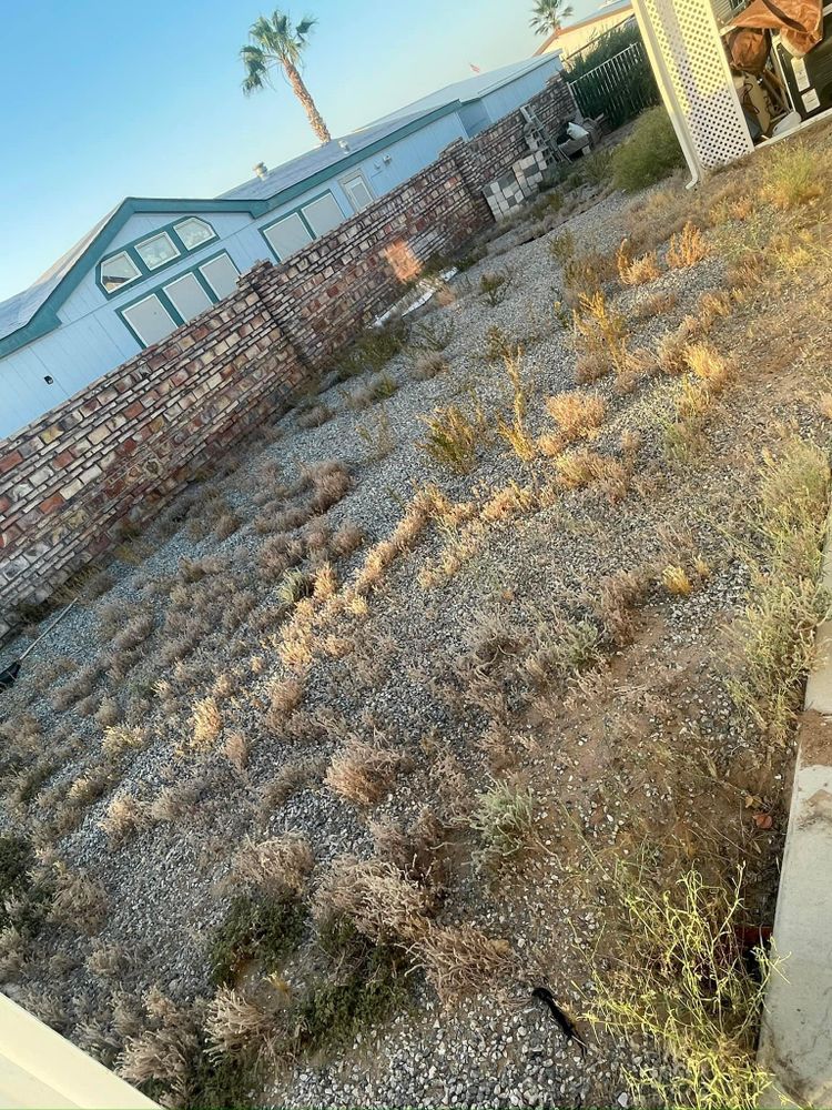 All Photos for Oliver L. Palm & Tree services in Yuma County, AZ