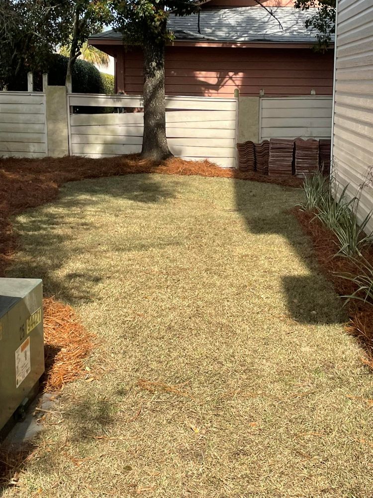 All Photos for White Sands Landscaping in Myrtle Beach, SC