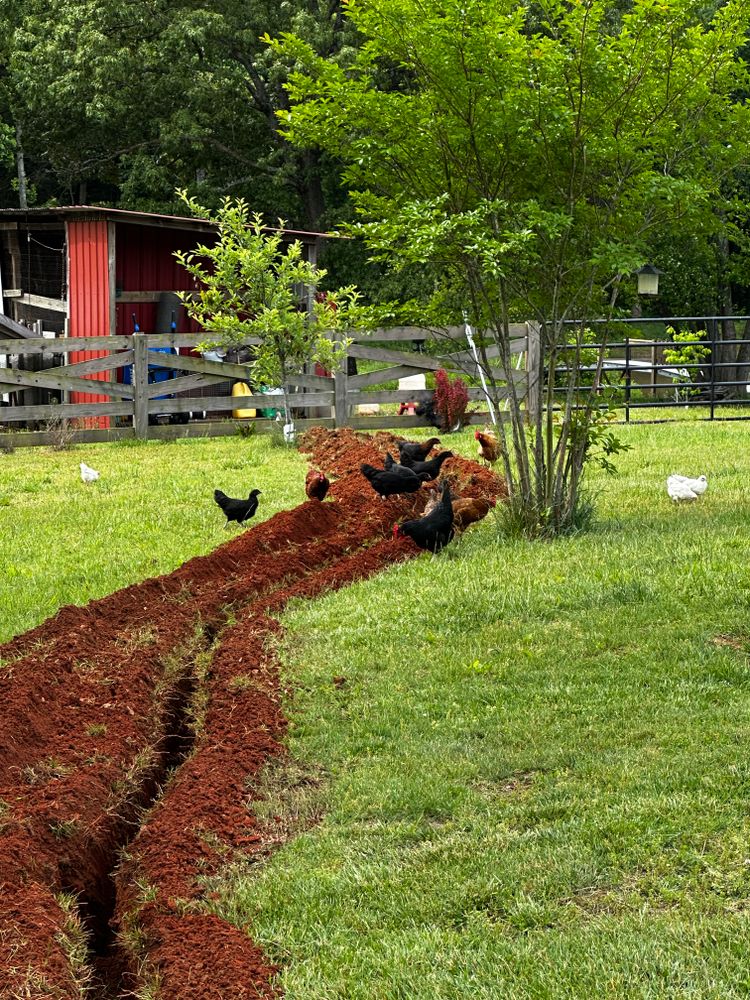 All Photos for Dirty Bird Plumbing in Clarksville, TN