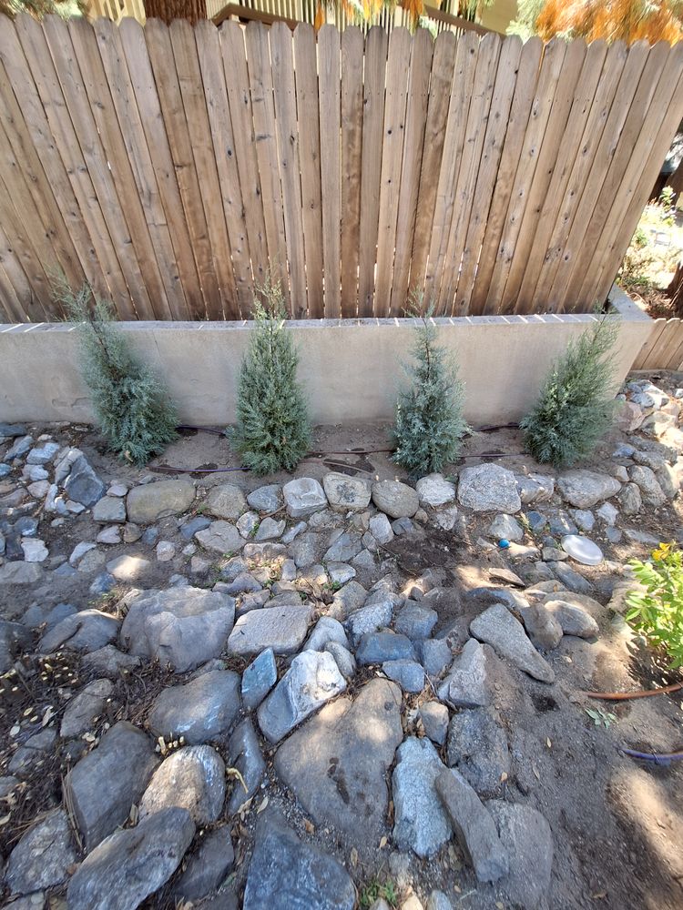 All Photos for Best Lawncare in Colton, CA