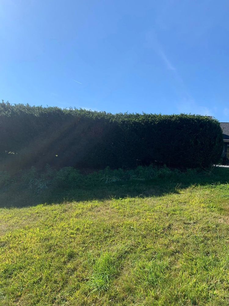 All Photos for Moon's Property Maintenance in Gray, ME