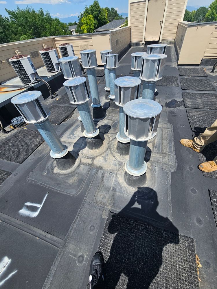 All Photos for Distinctive Home Renovations in Longmont, CO