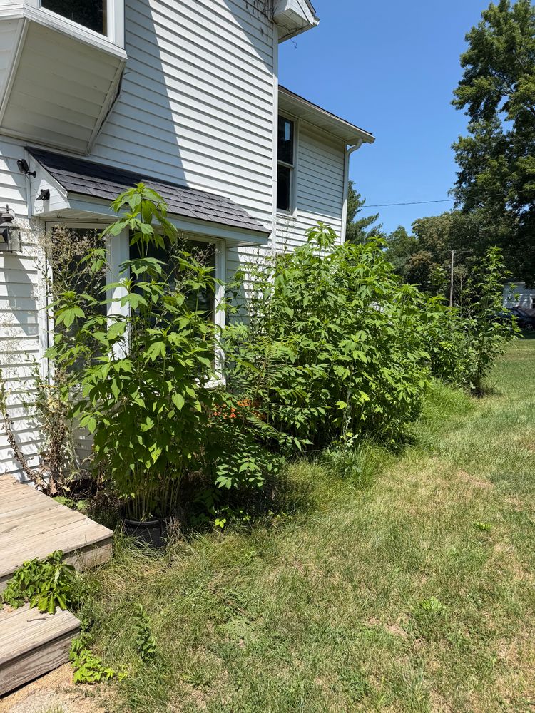 Sea Walls for Blakescape in Elkhart, IN