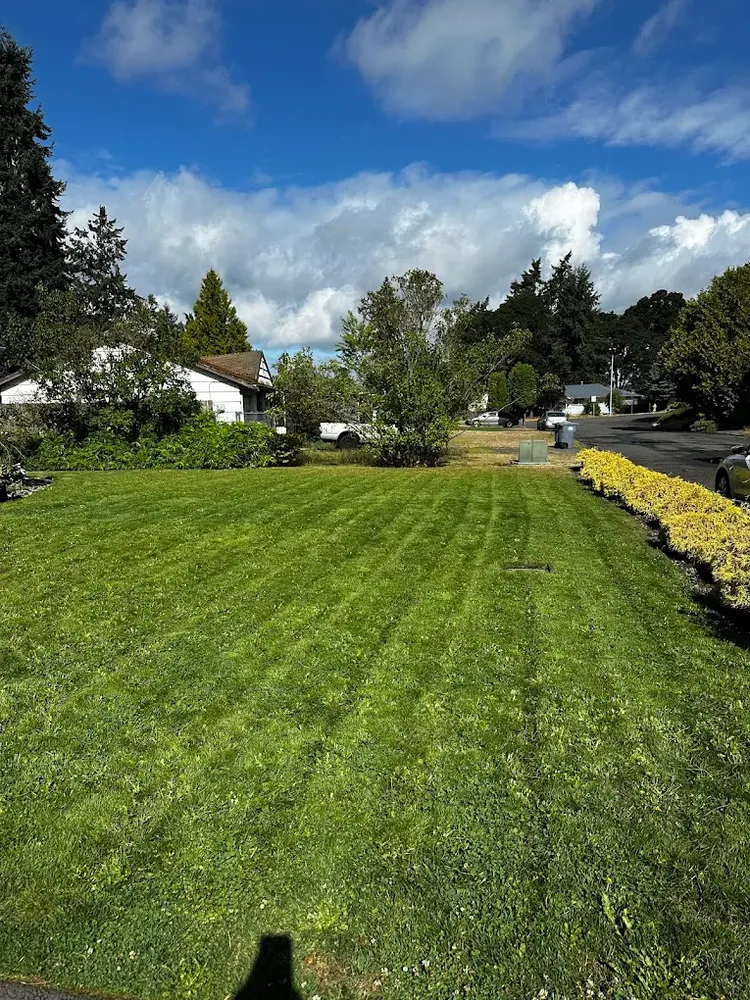 Landscaping for JJG Landscaping LLC in Tacoma, WA
